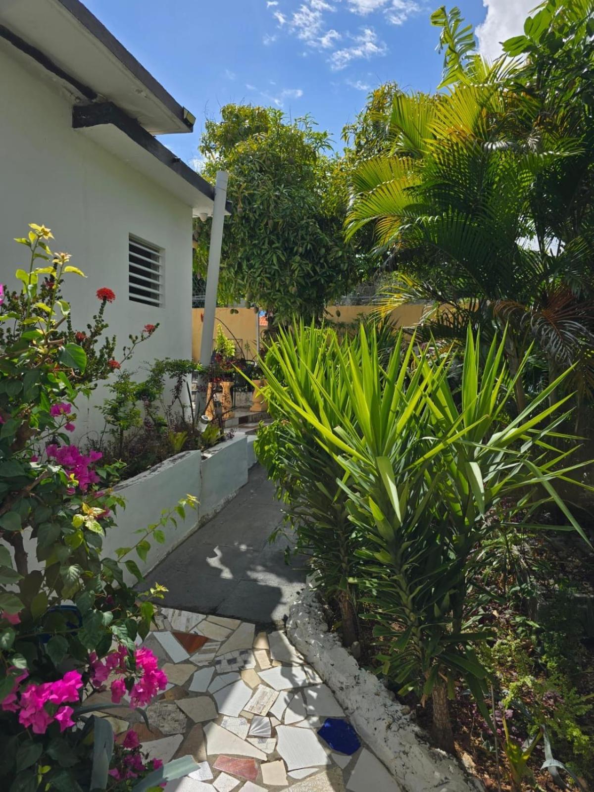 מונטגו ביי Paradise Palms Jamaica Vacation Rental מראה חיצוני תמונה