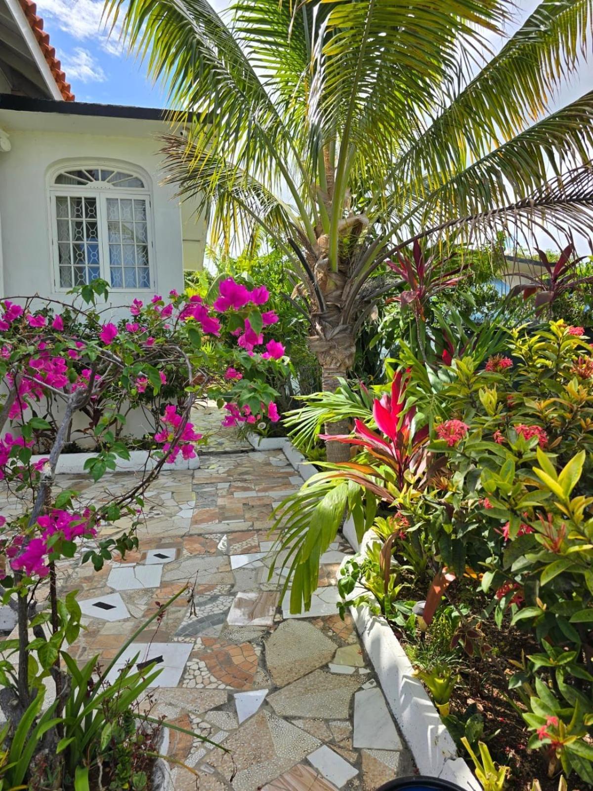 מונטגו ביי Paradise Palms Jamaica Vacation Rental מראה חיצוני תמונה